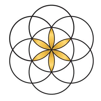 ODNOVA Gift Card