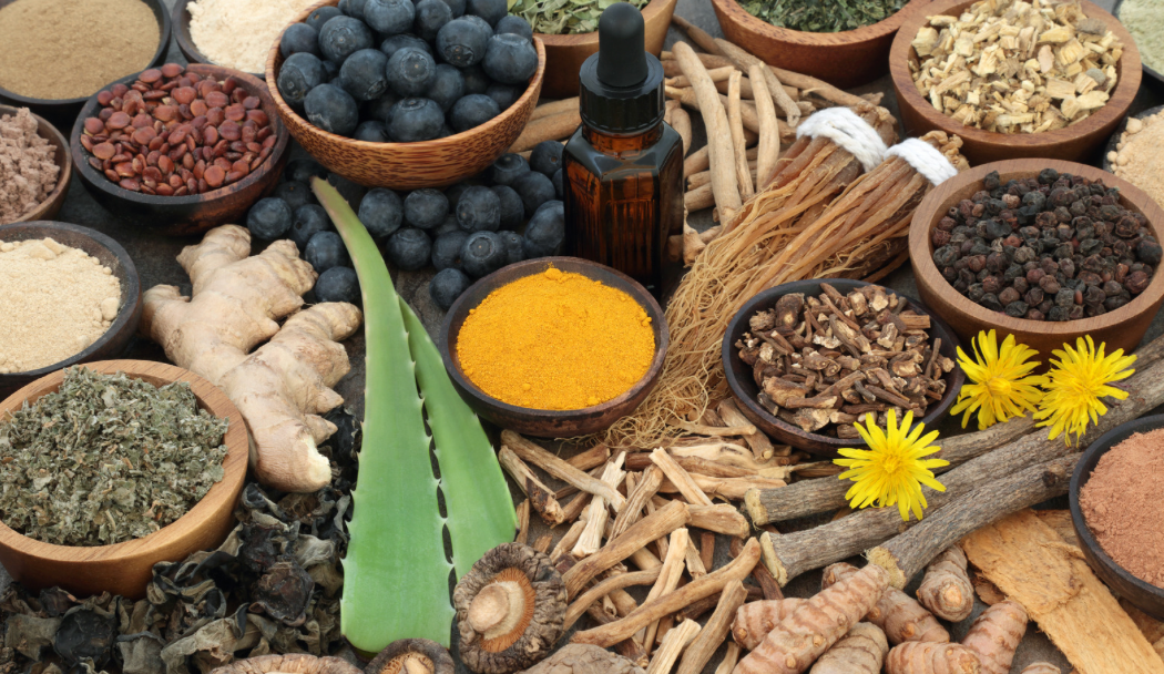 The Importance of Adaptogens in Daily Nutrition