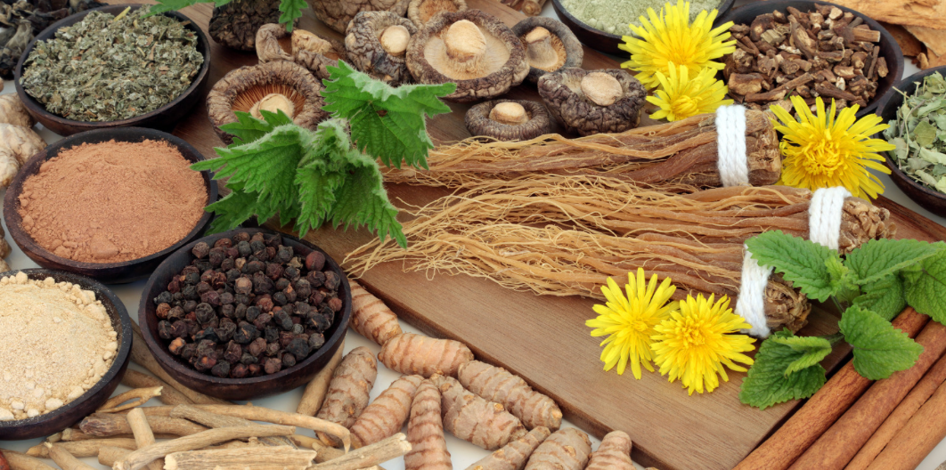 How Adaptogens Support Your Body’s Natural Energy