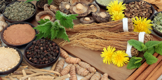 How Adaptogens Support Your Body’s Natural Energy