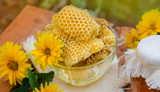Why Bee Products Are Essential for Skin Health